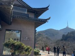 -黄山排云型旅酒店餐厅
