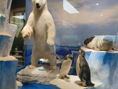 -国家自然博物馆