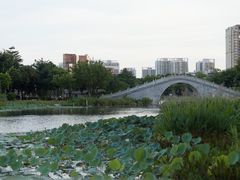 -映月湖公园