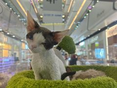 -万达广场(北京槐房店)