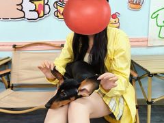 -汪说·狗咖·拼豆·宠物周边DIY(旺城大厦店)