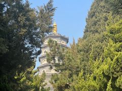 -湛山寺