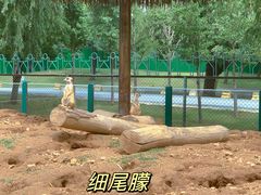-秦皇岛野生动物园