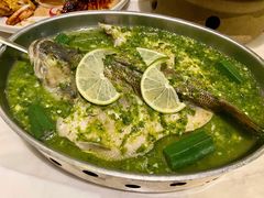 青柠檬酸汤鱼-星怡会·新加坡新美食(苏州中心店)