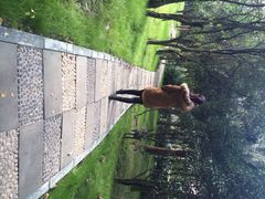 西南交通大学(九里堤校区)-西南交通大学(九里校区)