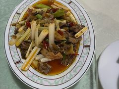 -铁山坪森林公园