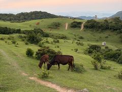 -大姆山草场