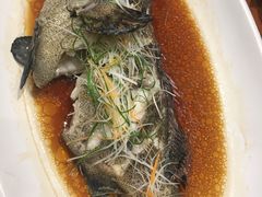-頂好酒家·经典粤菜(海信广场店)