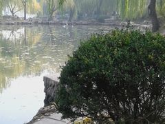 -紫竹院公园冰场