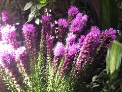 -春暖花开(西溪店)