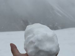 -祁连山草原