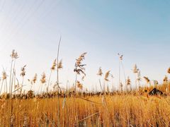 -永定河休闲森林公园