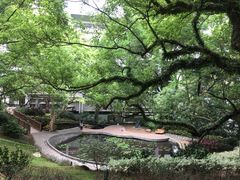 -香港大学