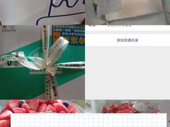 -维尔纳斯·生日蛋糕·动物奶油冰淇淋蛋糕(六里桥店)