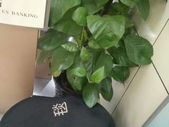 -中国银行(北京顺义支行)