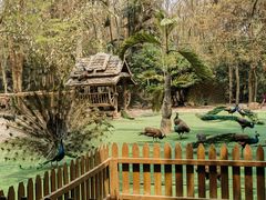 -西双版纳傣族园