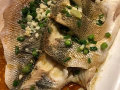 -看见远方·莫干遥远的山民宿