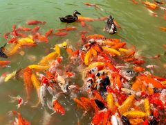 -泰安地下龙宫景区