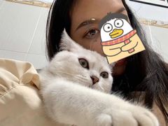 -lincat·猫舍(广州店)