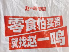 -赵一鸣零食(江苏南京福园街店)