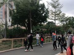 -灵玲国际马戏城