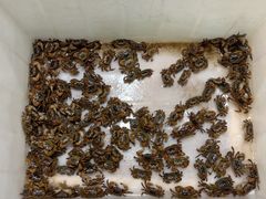 -沙田台山海鲜·酣客酒窖