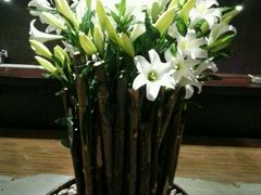 -梧桐餐厅(泉城路店)