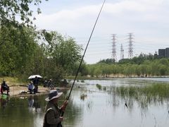 -门城湖公园