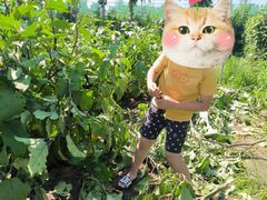 -意大利农场度假村