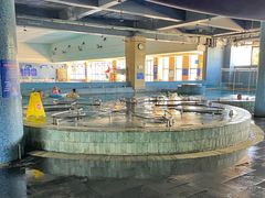 -晋爵会游泳馆(海湾公园店)