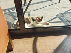 -一叶觅山(半边街店)