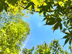 -宁波浙东大竹海景区