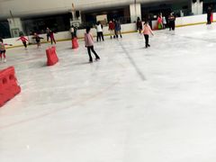 -炫采冰场(红博中央公园商场店)