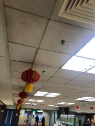 -首都医科大学附属北京儿童医院