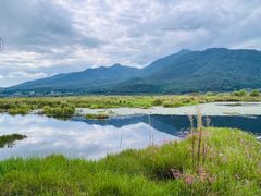 -腾冲北海湿地