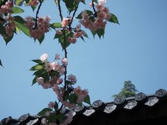 -四门塔风景区