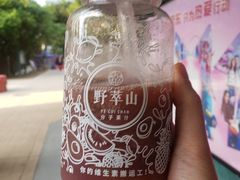 -野萃山·潮汕厚果汁(十亩地店)