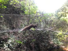 -黄金沟旅游风景区