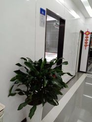 -悟空祛痘·专业祛痘机构