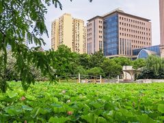 -黄兴公园