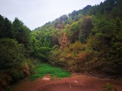 -马口生态公园