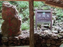 -本溪汤沟绿石谷森林公园