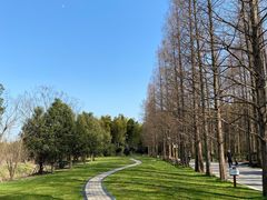 -同里国家湿地公园