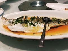 -沪华海鲜大酒楼(南汇店)