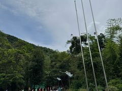 -西双版纳原始森林公园