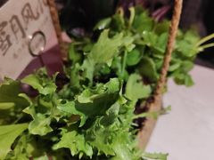 -芸山季·云南野生菌火锅(人民广场来福士店)