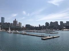 -青岛奥林匹克帆船中心