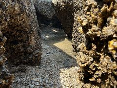 -东疆建设开发纪念公园