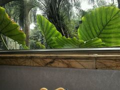 -星河湾半岛酒店-真粤中餐厅