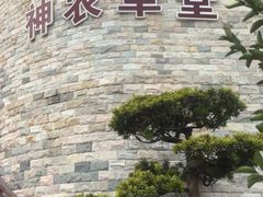 -广州神农草堂中医药博物馆